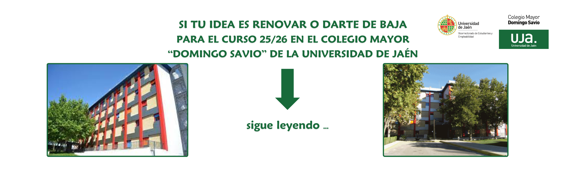 Renovación Y Baja